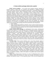 Kaimo turizmo situacija Lietuvoje ir jo plėtros galimybės 4 puslapis