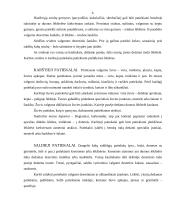 Kaip patiekti valgius ir gėrimus. Kas kaip valgoma 6 puslapis