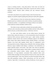 Neišplėtotos kalbos mokinių žodynas 3 puslapis