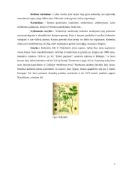 Kalendros, kmynai, krapai 5 puslapis