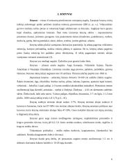 Kalendros, kmynai, krapai 6 puslapis