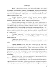 Kalendros, kmynai, krapai 9 puslapis