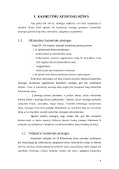 Kasmetinės atostogos 2 puslapis