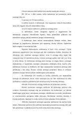 Kasmetinės atostogos 5 puslapis