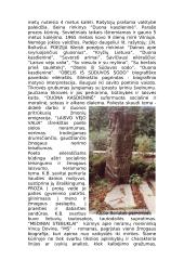 Kazys Boruta 3 puslapis