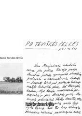 Kazys Boruta 6 puslapis