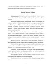 Kiaulių laikymo higiena 7 puslapis