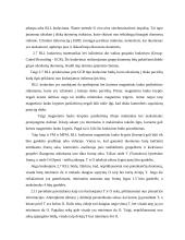 Kieti diskai (HDD) 17 puslapis