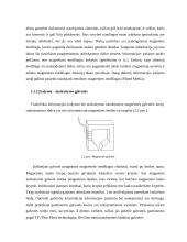 Kieti diskai (HDD) 5 puslapis