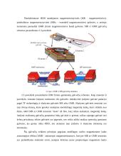Kieti diskai (HDD) 6 puslapis