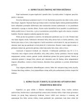 Kipro šalies maitinimo ir aptarnavimo specifika 9 puslapis