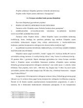 Klaipėdos  rajono savivaldybės investicijų politikos formos ir principai 12 puslapis