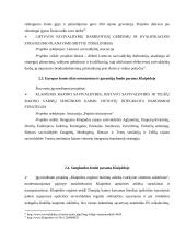 Klaipėdos  rajono savivaldybės investicijų politikos formos ir principai 13 puslapis