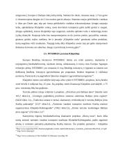 Klaipėdos  rajono savivaldybės investicijų politikos formos ir principai 15 puslapis