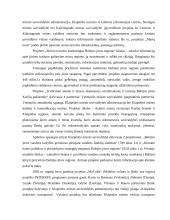 Klaipėdos  rajono savivaldybės investicijų politikos formos ir principai 16 puslapis