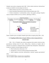Klaipėdos  rajono savivaldybės investicijų politikos formos ir principai 6 puslapis