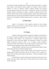 Klaipėdos apskrities valstybinė mokesčių inspekcija 10 puslapis