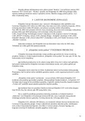 Klaipėdos regiono ekonominės plėtros galimybės 12 puslapis