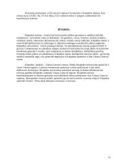 Klaipėdos regiono ekonominės plėtros galimybės 13 puslapis