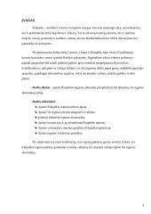 Klaipėdos regiono ekonominės plėtros galimybės 3 puslapis