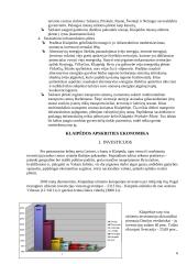 Klaipėdos regiono ekonominės plėtros galimybės 6 puslapis
