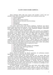 Klasės auklėtojo darbas su mokiniais 4 puslapis