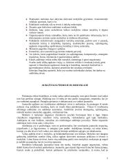 Klasės auklėtojo darbas su mokiniais 6 puslapis