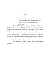 Klasės auklėtojo veiklos sritys 2 puslapis