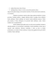 Klasės auklėtojo veiklos sritys 11 puslapis