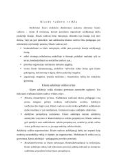 Klasės auklėtojo veiklos sritys 3 puslapis