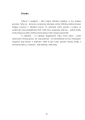 Klasės vadovas 8 puslapis