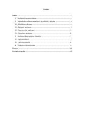 Klasikinio ugdymo paradigma. Realizmas