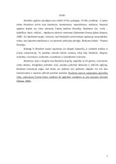 Klasikinio ugdymo paradigma. Realizmas 2 puslapis