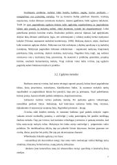 Klasikinio ugdymo paradigma. Realizmas 7 puslapis