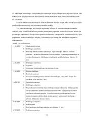 Kokybės rodikliai 12 puslapis