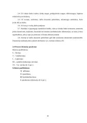 Kokybės rodikliai 10 puslapis