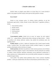 Kokybės vadybos plėtra Lietuvoje 3 puslapis