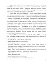 Kokybės vadybos plėtra Lietuvoje 4 puslapis