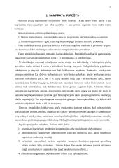 Kolektyvinio ginčo nagrinėjimo procedūra (schema) 3 puslapis