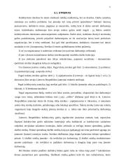 Kolektyvinio ginčo nagrinėjimo procedūra (schema) 6 puslapis