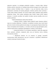 Komercinių bankų veiklos ypatumai 15 puslapis