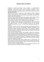 Kompiuteriai (referatas) 8 puslapis