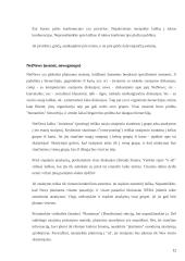 Kompiuteriai kasdieniniame gyvenime. Kompiuterių naudojimo etiniai principai 12 puslapis