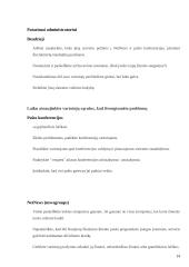 Kompiuteriai kasdieniniame gyvenime. Kompiuterių naudojimo etiniai principai 14 puslapis