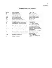 Kompiuterinė lingvistika: gramatinė-sintaksinė analizė 15 puslapis