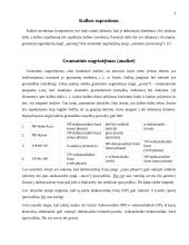 Kompiuterinė lingvistika: gramatinė-sintaksinė analizė 4 puslapis