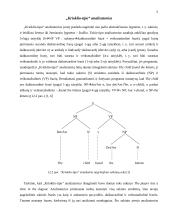 Kompiuterinė lingvistika: gramatinė-sintaksinė analizė 6 puslapis