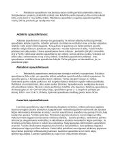 Projektas "Kompiuterio sandara" 12 puslapis