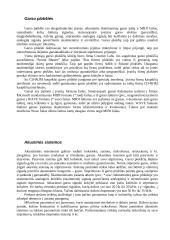 Projektas "Kompiuterio sandara" 10 puslapis