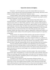 Kompiuterio sutrikimai 13 puslapis